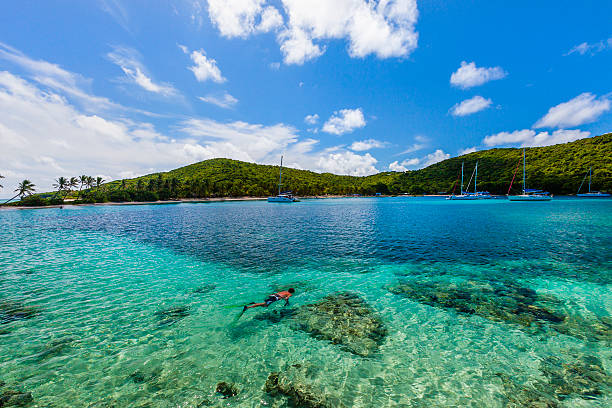 baía de salt whistle, mayreau - ilha mayreau - fotografias e filmes do acervo