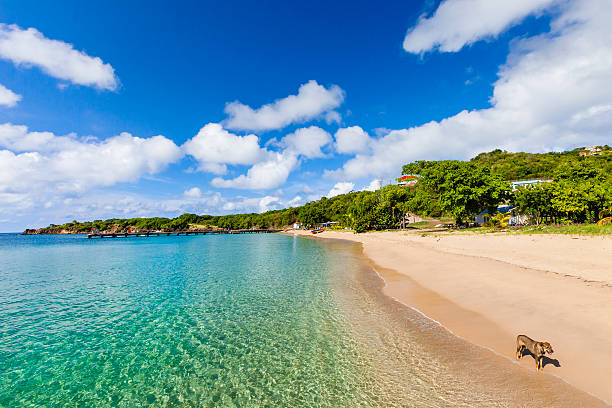 saline bay, mayreau - ilha mayreau - fotografias e filmes do acervo