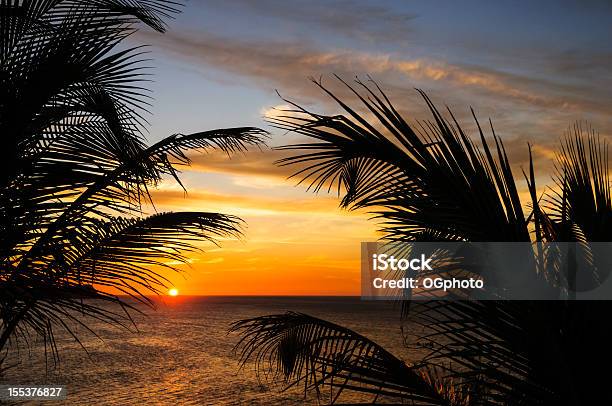 Zachód Słońca Przez Liści Palmowych Oprawione - zdjęcia stockowe i więcej obrazów Kostaryka - Kostaryka, Ocean Spokojny, Zachód słońca