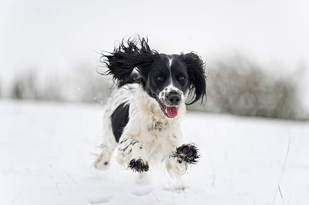 istock the best things in life are free 155377070