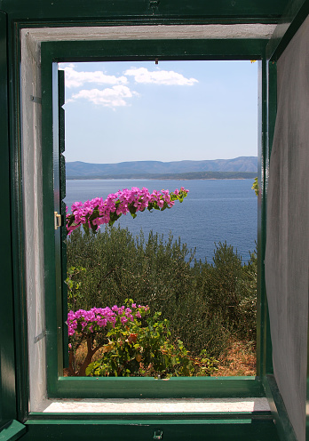 Closed wooden shutters of blue color on the window of the old house