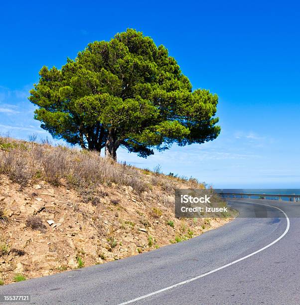 Road To The Hill Stock Photo - Download Image Now - Adventure, Africa, Beauty In Nature