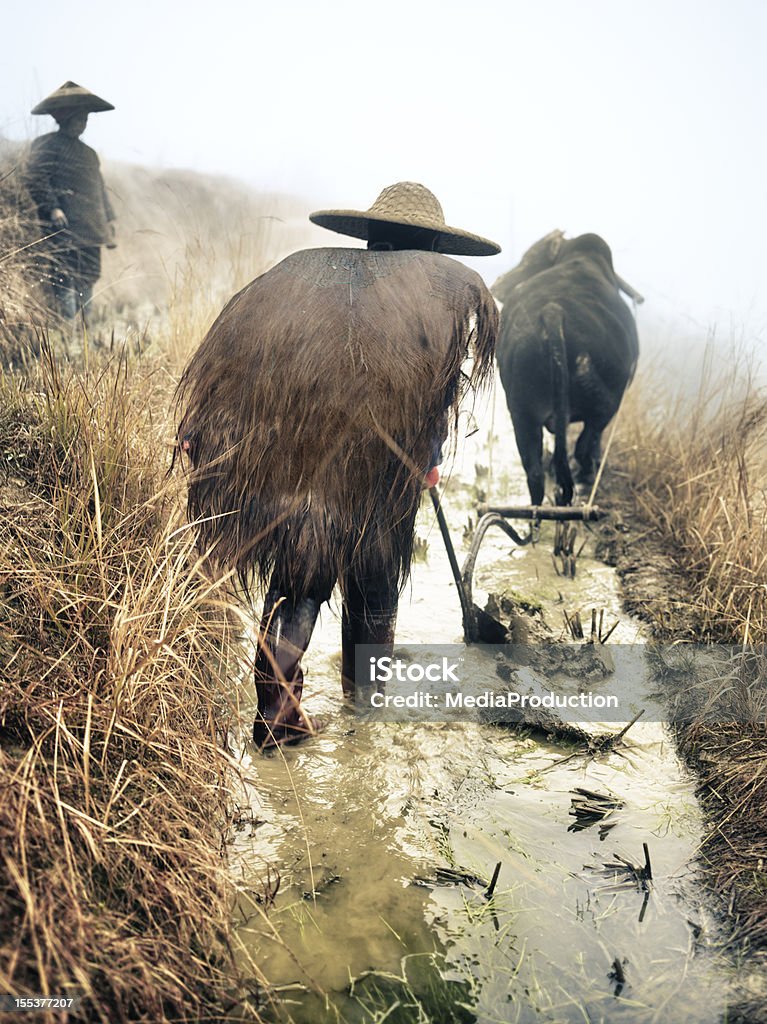 Agricultores de arroz - Foto de stock de China royalty-free