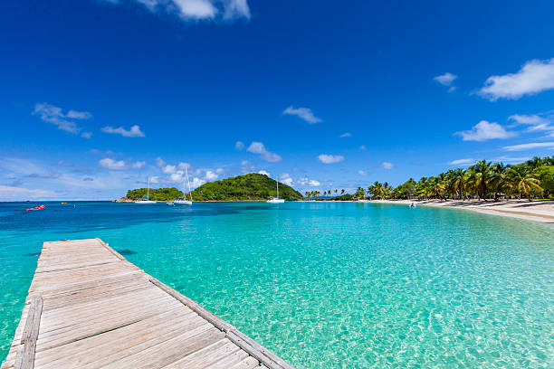 baía de salt whistle, mayreau - ilha mayreau - fotografias e filmes do acervo