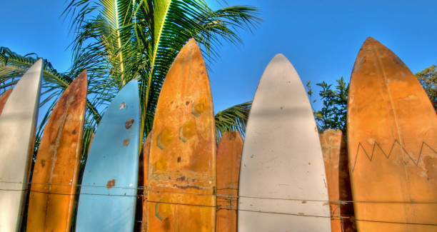istock Surfboard fence lit by sunrise 155377748