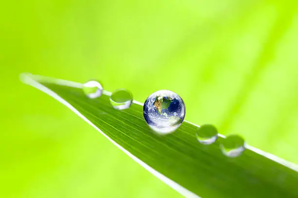 Ecology concept, the blue marble globe on a leaf with waterdrops on green background. Extreme macro, very shallow depth of field around the globe.