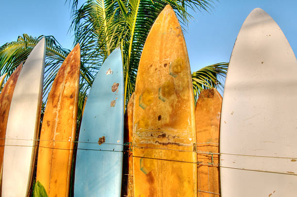 istock Surfboard fence lit by sunrise 155377810