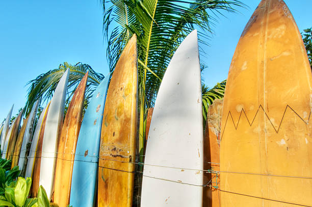 istock Fence made of surfboards with palm trees against blue sky 155377817