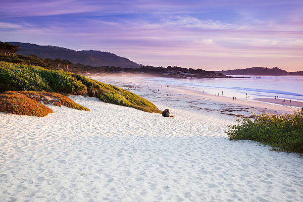 istock Carmel Beach in Carmel-by-the-Sea 155377857