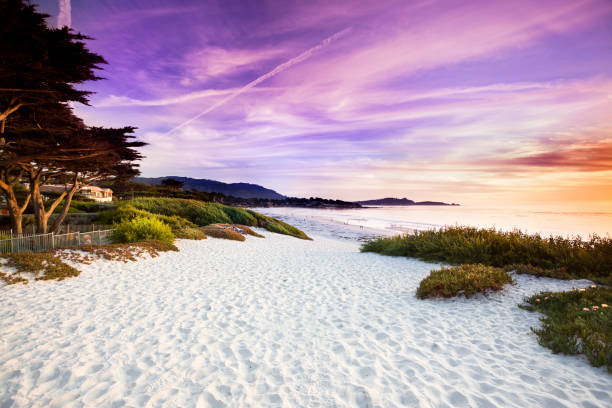 Carmel Beach in Carmel-by-the-Sea
