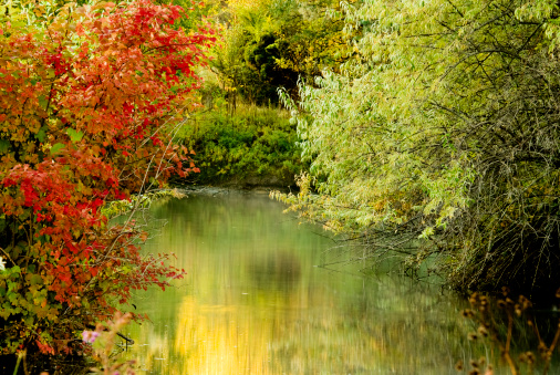 Beautiful autumn scene at Albertsons Park in Boise, Idaho, USA on a fine autumn morning