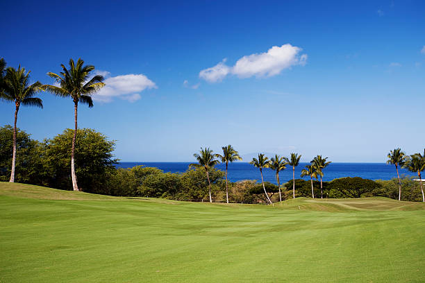 istock Beautiful Golf Course on Maui Hawaii 155378054