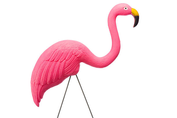 różowy flamingo na białym tle z ścieżka odcinania - plastic flamingo zdjęcia i obrazy z banku zdjęć