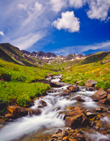 Alpine meadow with rushing stream in The Rocky Mountains of Colorado