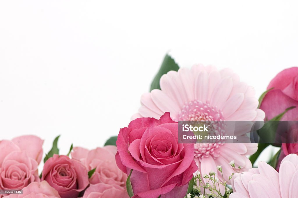 Quadro de flores cor-de-rosa - Foto de stock de Beleza royalty-free