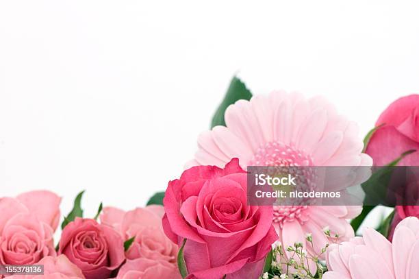 Foto de Quadro De Flores Corderosa e mais fotos de stock de Beleza - Beleza, Cabeça da flor, Espaço para Texto