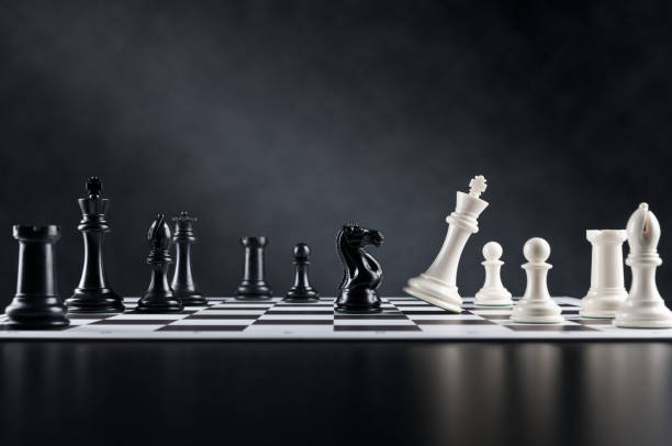 checkmate 무브를, 나이트 확인하고 킹, 체스판 - chess knight 뉴스 사진 이미지