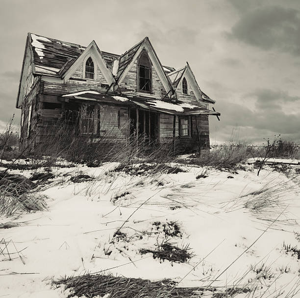 istock Home in the Snowsquall 155378387