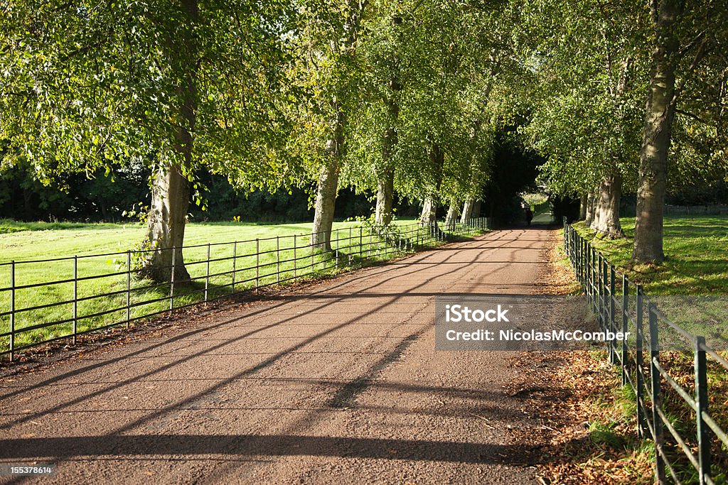 Britische Zaun country road - Lizenzfrei Baum Stock-Foto