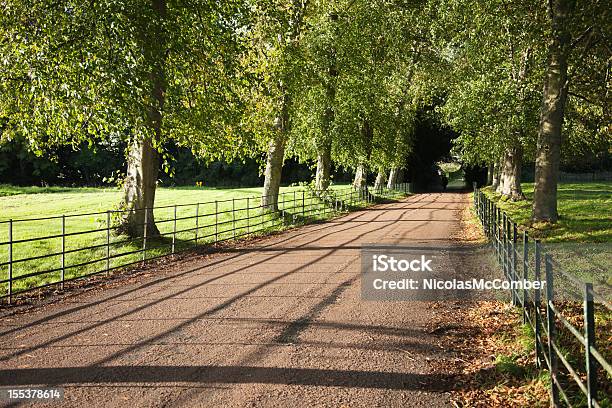 Britische Zaun Country Road Stockfoto und mehr Bilder von Baum - Baum, Britische Kultur, England