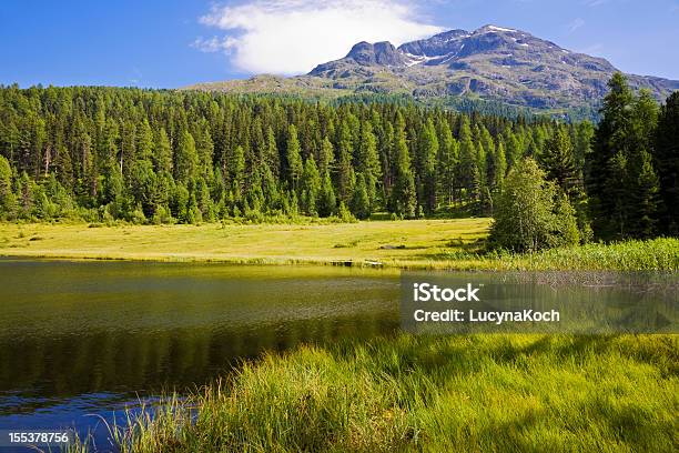 Photo libre de droit de Lété Sur Le Lac De Montagne banque d'images et plus d'images libres de droit de Alpes européennes - Alpes européennes, Alpes suisses, Arbre