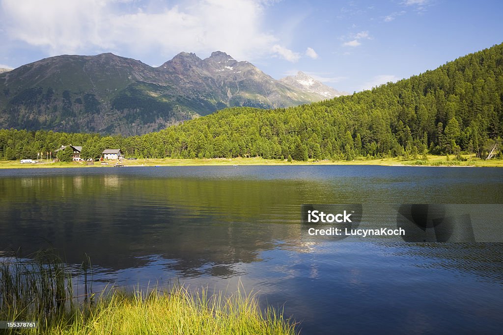 Lago de montaña en el verano. - Foto de stock de Abeto libre de derechos