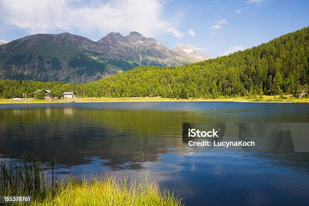 Lago De Montaña En El Verano Foto de stock y más banco de imágenes de Abeto - Abeto, Agua, Aire libre