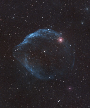 The Dolphin Head Nebula, a celestial phenomenon, shines brightly in a night sky filled with stars