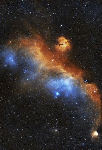 The breathtaking view of the Seagull Nebula in the night sky
