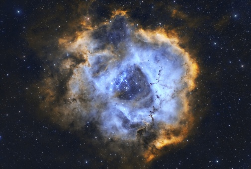 The glowing Rosette Nebula in the center of a star-filled night sky