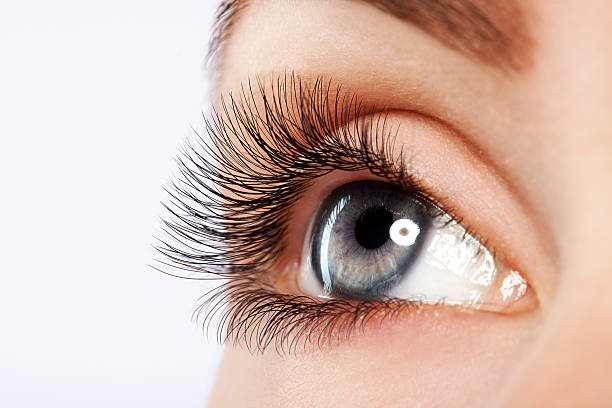 istock Close up studio shot of woman's eye 155378897
