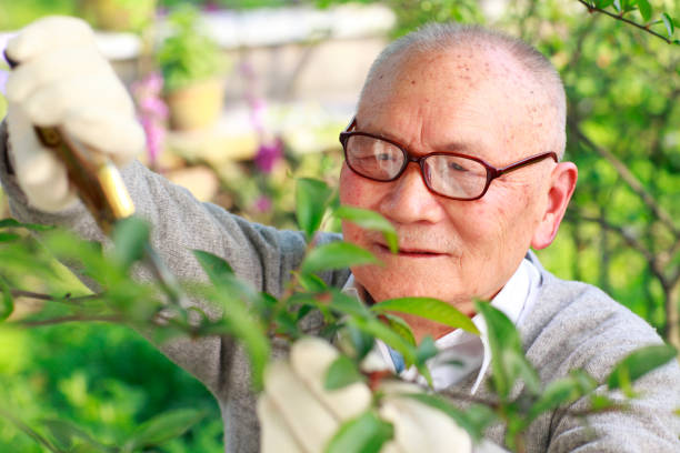 istock grandfather working in the garden 155378960