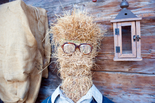 A funny and creative scarecrow pretending to be an intellectual clerk. Clear focus on the eyeglass.