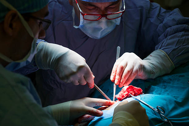 Doctor performing surgery stock photo