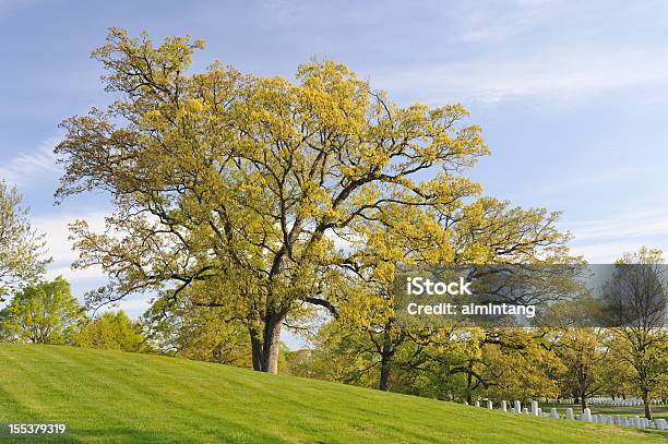 Cemitério Nacional De Arlington - Fotografias de stock e mais imagens de Cemitério - Cemitério, Cemitério nacional de Arlington, EUA