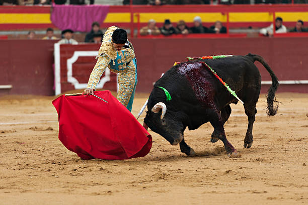Bullfighter Bullfighter and bull in action. Spain banderilla stock pictures, royalty-free photos & images