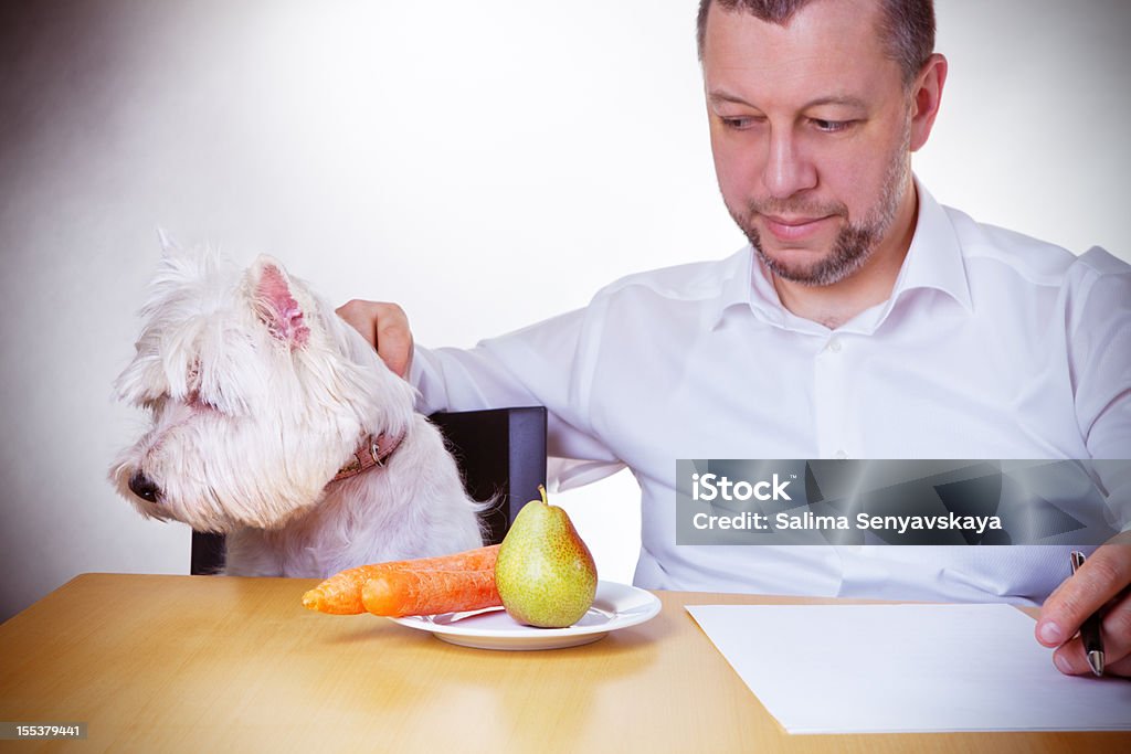 Dieta para cães - Foto de stock de Adulto royalty-free