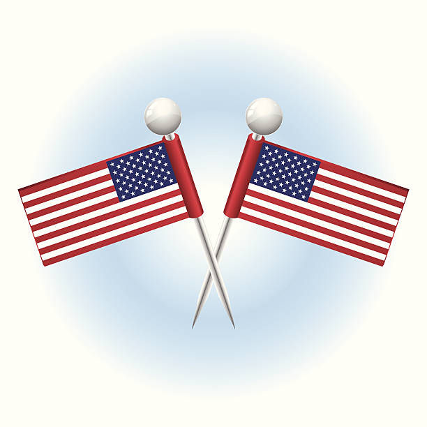 American Flag Pins vector art illustration