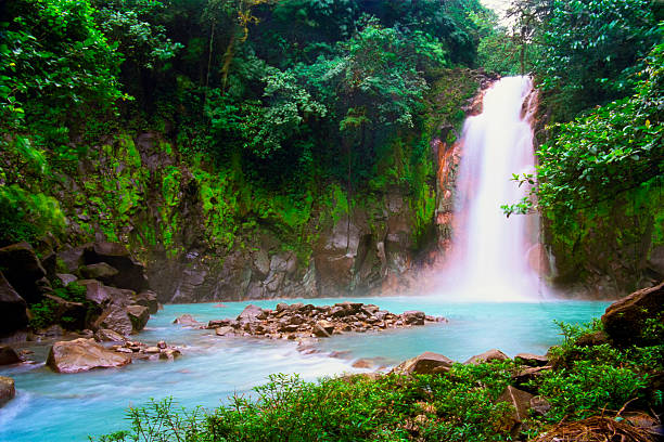 waterfall in tropical rainforest - costa rica stok fotoğraflar ve resimler