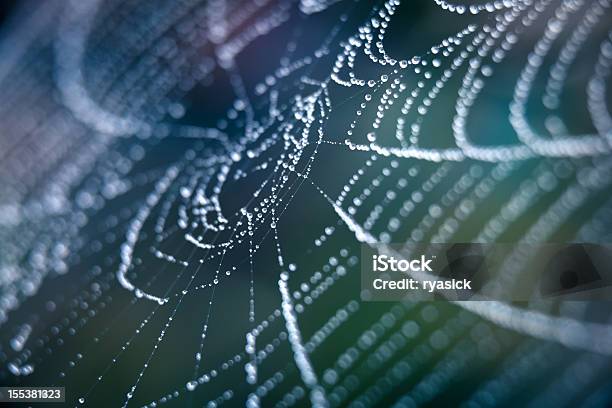 Extreme Closeup Spiderweb With Dew Stock Photo - Download Image Now - Spider Web, Nature, Macrophotography