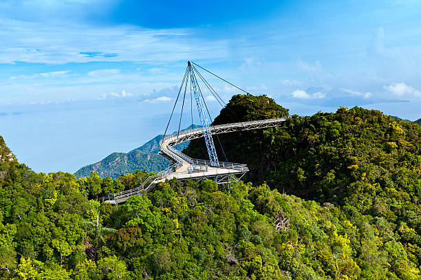 langkawi une passerelle - tropical rainforest elevated walkway pulau langkawi malaysia photos et images de collection