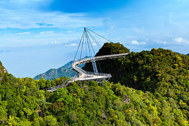 langkawi passarela - tropical rainforest elevated walkway pulau langkawi malaysia - fotografias e filmes do acervo
