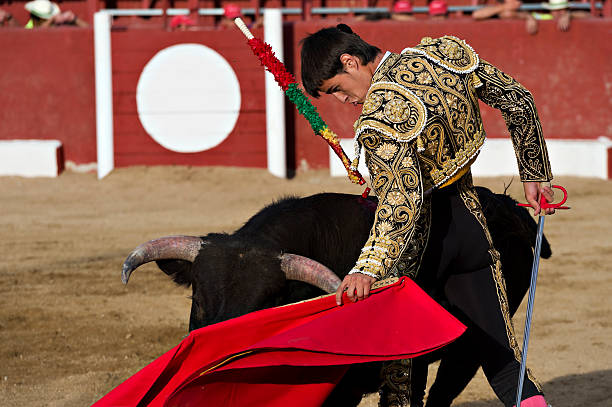 istock A bullfighter with a bull in the arena 155382064