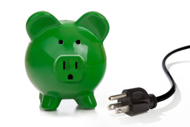 istock Green Energy Savings or Costs 155382215