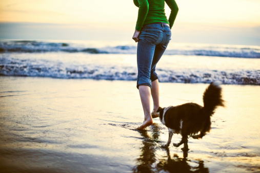 A young woman and her pet puppy run splashing into the surf on a sandy beach at sunset,  the sky glowing a yellow orange on the Pacific Ocean.  Horizontal with copy space.