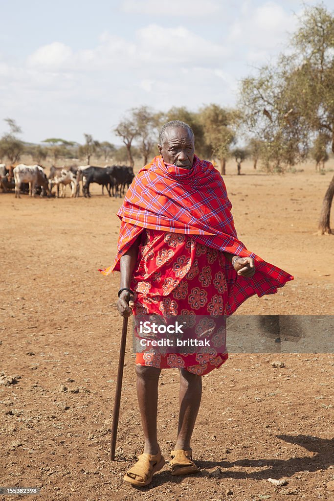 Vecchio Masai headman con bestiame in background. - Foto stock royalty-free di Terza età