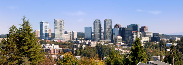 istock City of Bellevue in Washington State 155382427