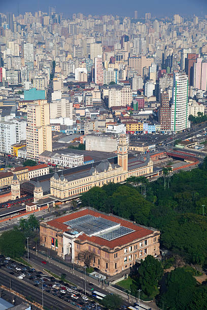 Luz Station and Sao Paulo Gallery See my other Sao Paulo and Rio de Janeiro aerial photos pinacoteca sao paulo photos stock pictures, royalty-free photos & images