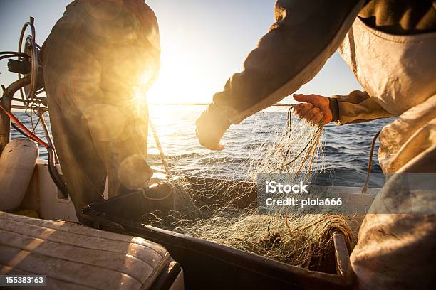 Photo libre de droit de Les Pêcheurs De Travail En Ramenant Les Nets banque d'images et plus d'images libres de droit de Pêcheur - Pêcheur, Filet de pêche industrielle, Pêcheurs et pêcheuses