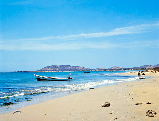A rocky shoreline with a blue sky and ocean waves. The ocean is calm and the waves are small